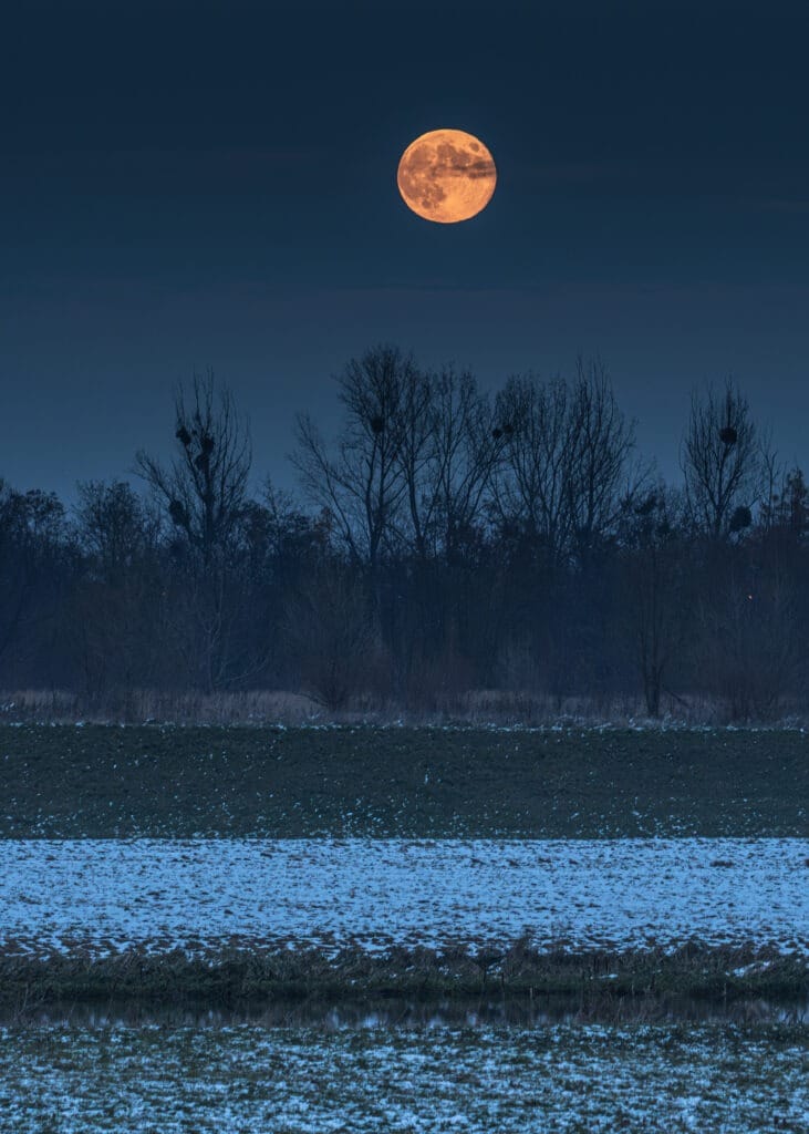 A red full moon (Freezing Moon) over a winter night sky