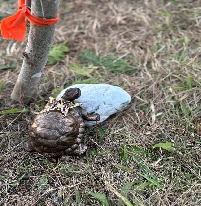 Women's Circle with Sitting Turtle is a healing circle, centered around Connection, Ceremony, and a Sacred Fire.